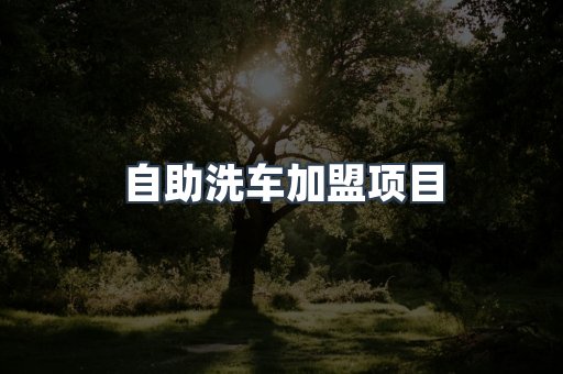 自助洗车加盟项目
