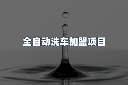 自助洗车加盟项目