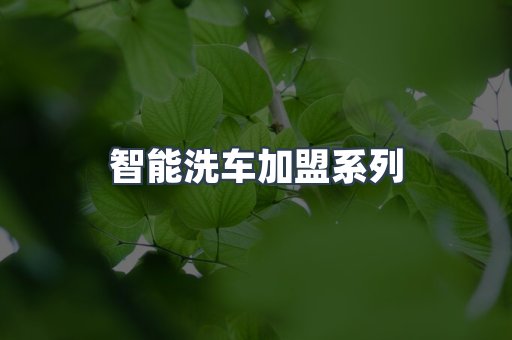 自助洗车加盟项目